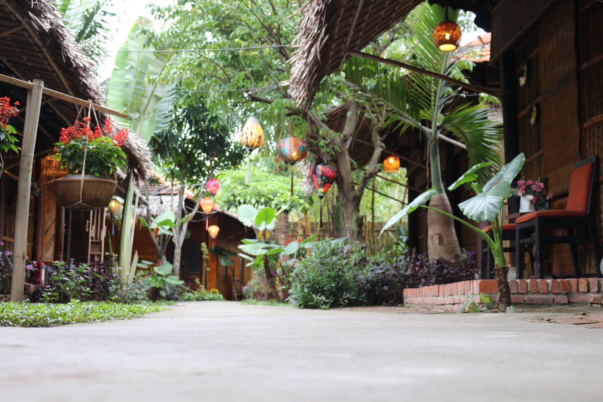 Hotel Under The Coconut Tree Hoi An Esterno foto