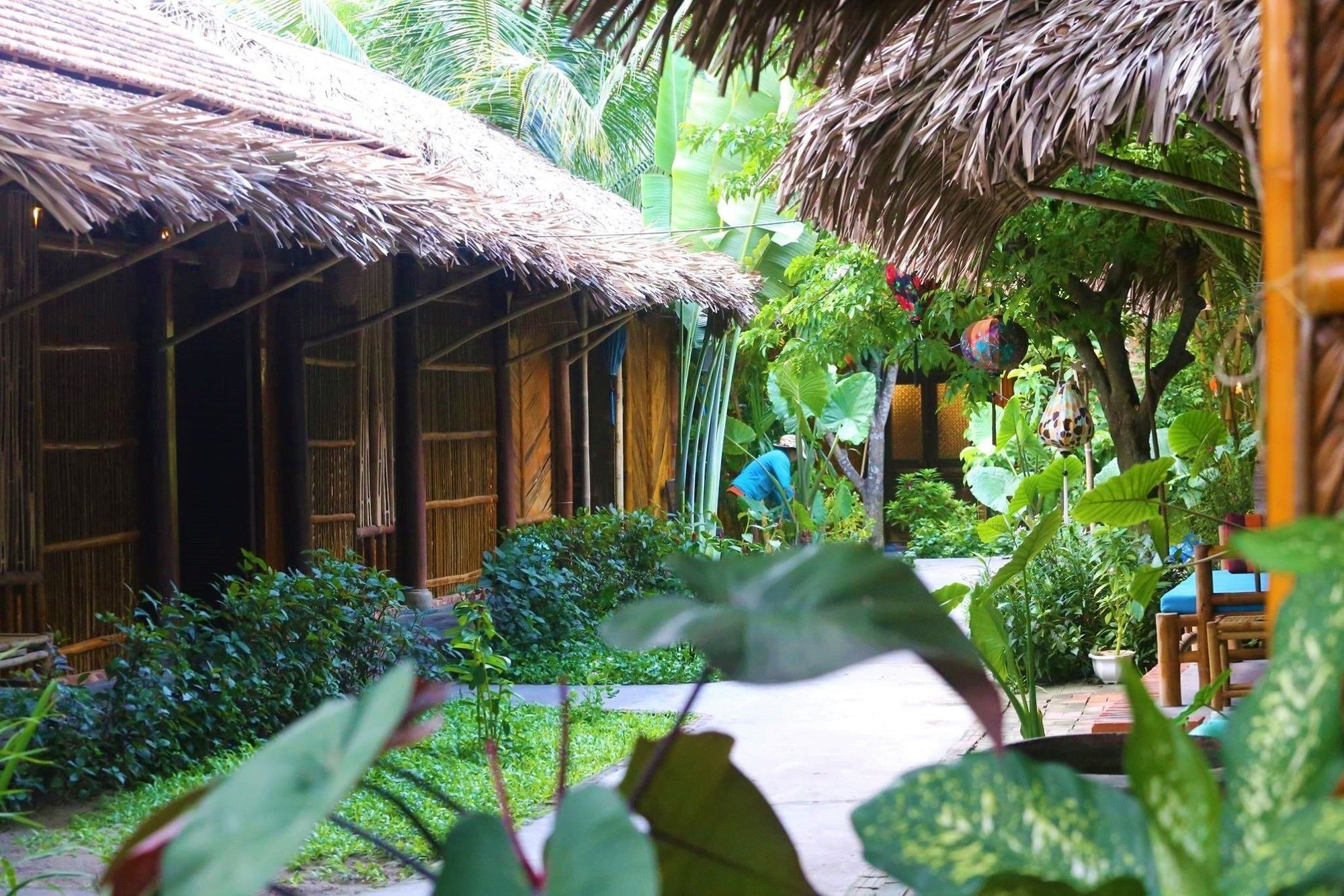 Hotel Under The Coconut Tree Hoi An Esterno foto