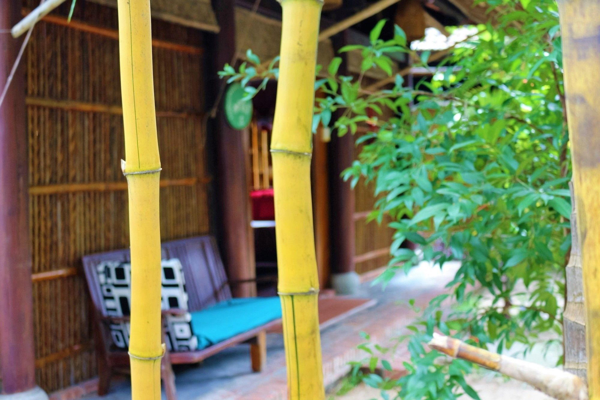 Hotel Under The Coconut Tree Hoi An Esterno foto